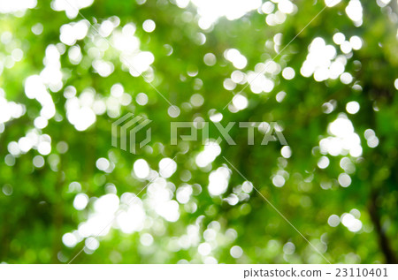 BOKEH GREEN BACKGROUND BOKEH GREEN BACKGROUND 23110401