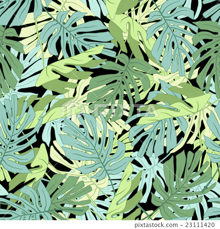 Tropical palm leaves. Tropical palm leaves. 23111420