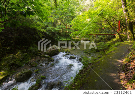 愛媛縣西縣Katsuragawa山谷 愛媛縣西縣Katsuragawa山谷 23112461