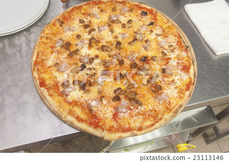 Traditional way baked Italian pizza 23113146