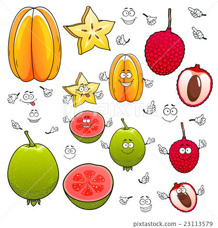 Cartoon carambola, lychee and apple guava fruits 23113579