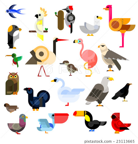 Wild, aquatic, tropical and urban birds flat icons 23113665