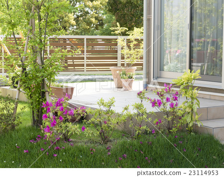 住房新建住房花園種植露台圖片綠花草坪 23114953