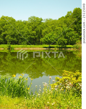 Kishow boulevard beachfront scenery 23115049