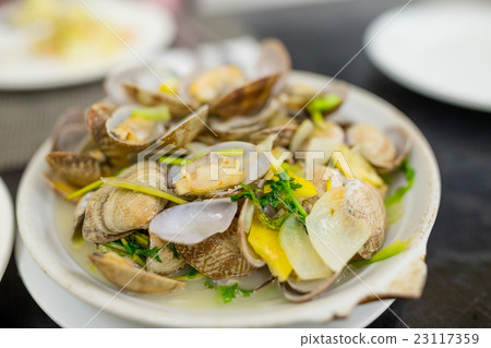 Portuguese clam Portuguese clam 23117359