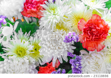 Beautiful flowers for valentines and wedding scene 23118698