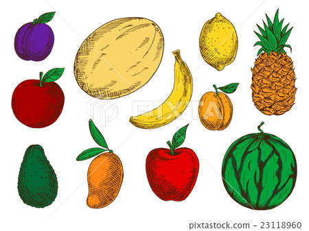 Healthy and fresh fruits colored sketch icons 23118960