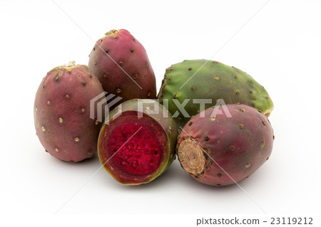 Fruits of Owl Cactus (Opuntia): Cactus Pear 23119212
