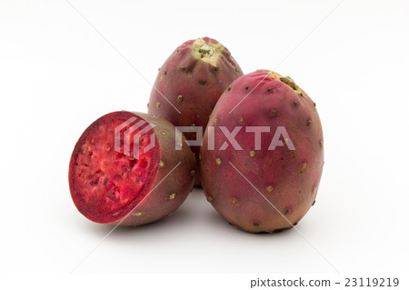 Petit Cactus Fruit (Opuntia Fruit): Cactus Pear Petit Cactus Fruit (Opuntia Fruit): Cactus Pear 23119219