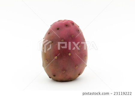 Petit Cactus Fruit (Opuntia Fruit): Cactus Pear Petit Cactus Fruit (Opuntia Fruit): Cactus Pear 23119222