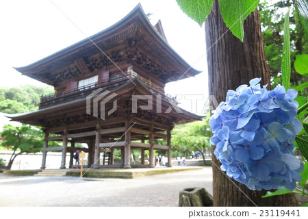 鎌倉Enka寺與繡球花和山門 23119441