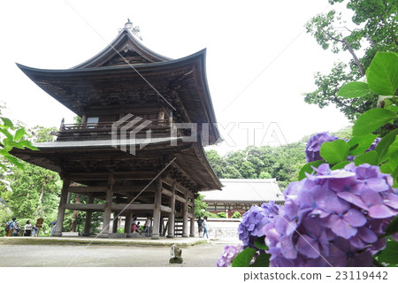 鎌倉Enka寺與繡球花和山門 鎌倉Enka寺與繡球花和山門 23119442