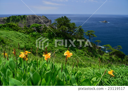 From the Ai-ai cape Looking out 23119517