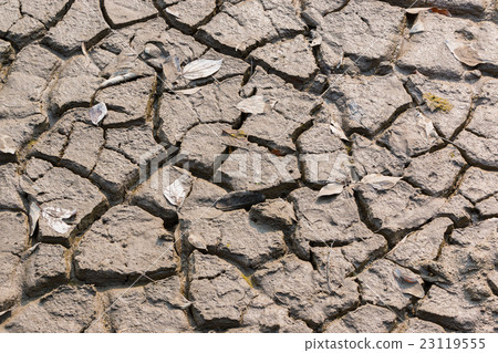 Arid and dry cracked earth with dry leaves. Arid and dry cracked earth with dry leaves. 23119555