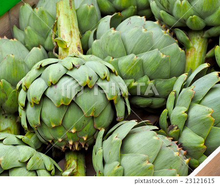 artickokes artickokes 23121615