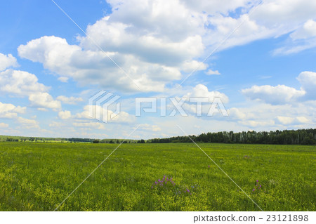 Sky and meadow Sky and meadow 23121898