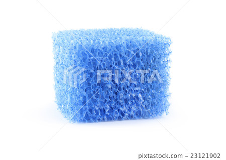 Sponge Sponge 23121902