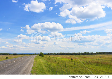 Summer landscape 23121904