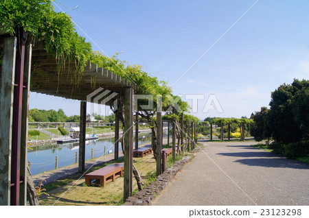 樹蔭下的紫藤格子(濱名湖花園公園) 樹蔭下的紫藤格子(濱名湖花園公園) 23123298