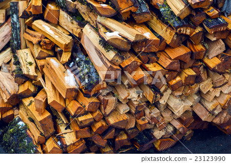 bunch of wet firewood bunch of wet firewood 23123990