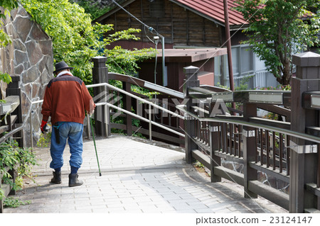 Walking for seniors 23124147