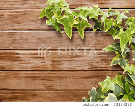 Wood material and plants Wood material and plants 23124258