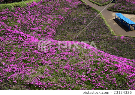 黑木住宅的芝浦(Shintomitancho,Kozu-gun,宮崎縣) 黑木住宅的芝浦(Shintomitancho,Kozu-gun,宮崎縣) 23124326