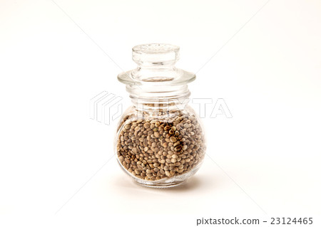 Hemp fruit 23124465