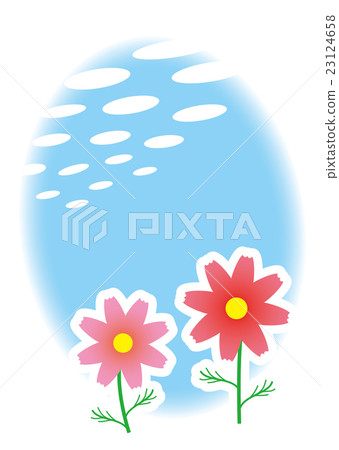 Cosmos Cosmos 23124658