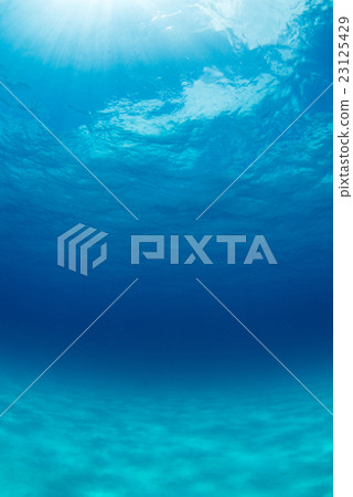 Sky looked up from the sea 23125429