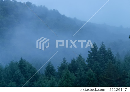 薄霧森林(5) 薄霧森林(5) 23126147