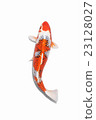 Nishikigoi 04 23128027