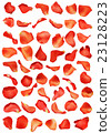 Rose petals 23128223