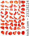 Rose petals 23128224