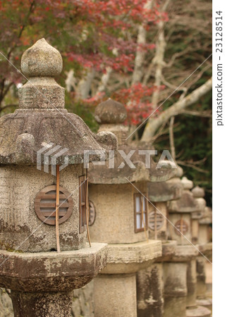 Lantern lanterns Mitsuji 23128514