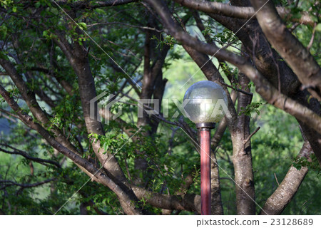 路燈 路燈 23128689