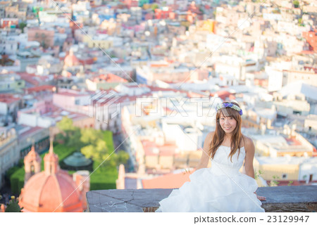 Wedding Photo Wedding Photo 23129947