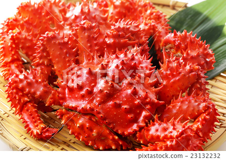 Hanasaku crab 23132232