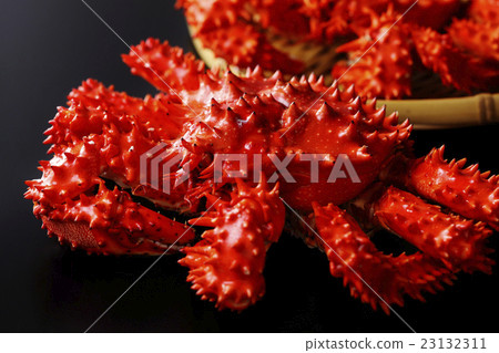 Hanasaku crab Hanasaku crab 23132311