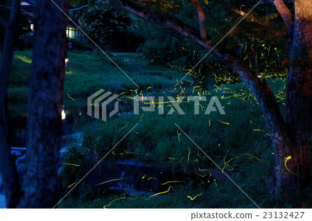 Mazda's Firefly Ranbu Mazda's Firefly Ranbu 23132427