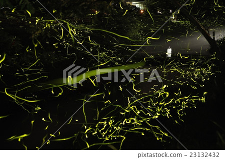 Mazda's Firefly Ranbu Mazda's Firefly Ranbu 23132432