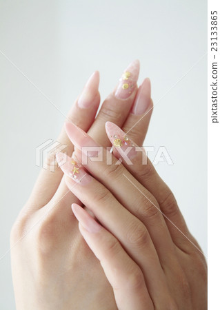 珊瑚粉紅色釘殼與Garapatsu 珊瑚粉紅色釘殼與Garapatsu 23133865