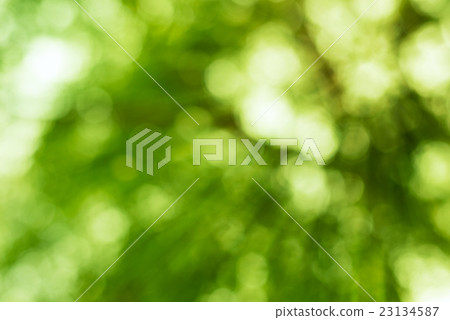 Abstract Bokeh Background Abstract Bokeh Background 23134587