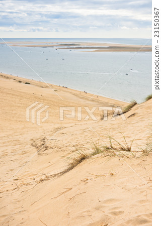 View of The Arcachon Bay and The Duna of Pyla View of The Arcachon Bay and The Duna of Pyla 23150367