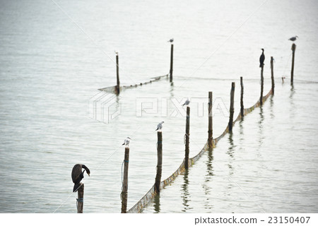 Northern Sea landscape 23150407