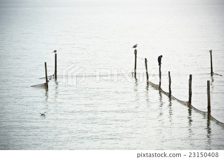 Northern Sea landscape 23150408