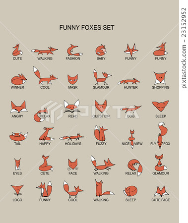 Fox icons, collection for your design Fox icons, collection for your design 23152952