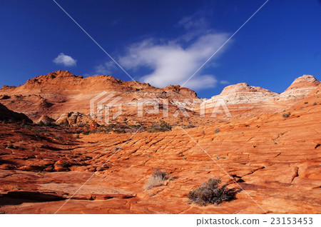 The Wave, Arizona, USA The Wave, Arizona, USA 23153453