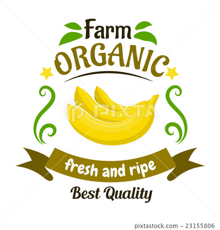 Organic farm banana fruits retro badge design Organic farm banana fruits retro badge design 23155806