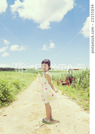 Summer vacation image 23155834